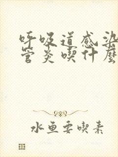 呼吸道感染支气管炎吃什么药见效快老人