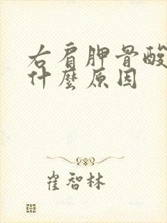 右肩胛骨酸胀是什么原因封面