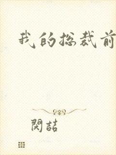 我的总裁前女友