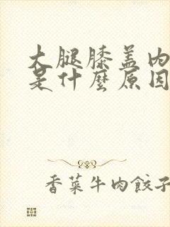 大腿膝盖内侧疼是什么原因引起的