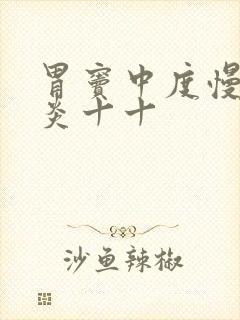 胃窦中度慢性胃炎十十