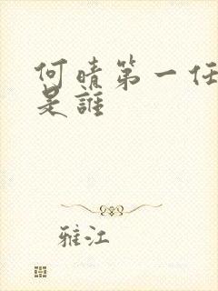 何晴第一任丈夫是谁