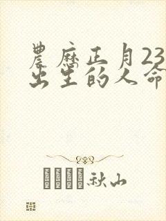 农历正月23日出生的人命运封面