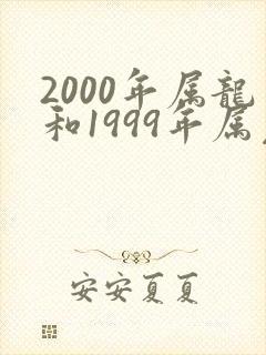 2000年属龙和1999年属兔姻缘如何