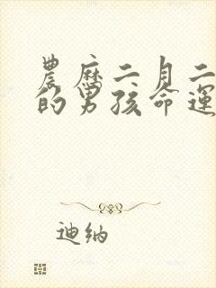 农历二月二出生的男孩命运