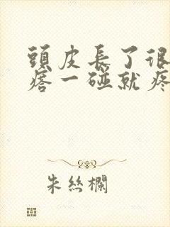 头皮长了很多疙瘩一碰就疼