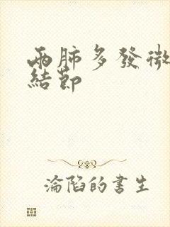 两肺多发微小实结节