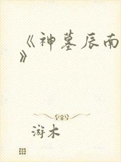 《神墓辰南雨馨》