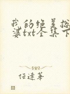 我的绝美总裁老婆txt全集下载