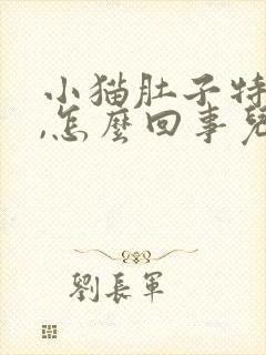 小猫肚子特别鼓,怎么回事儿?