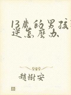 13岁的男孩叛逆怎么办封面