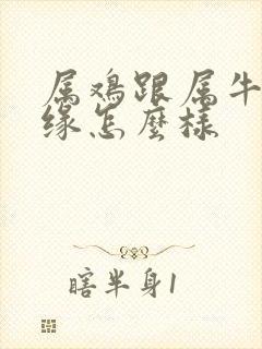 属鸡跟属牛的姻缘怎么样