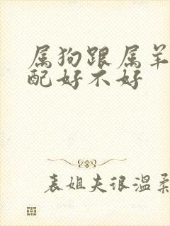 属狗跟属羊的婚配好不好