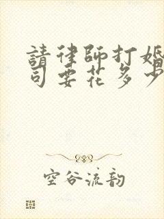 请律师打婚姻官司要花多少钱