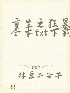 重生之狂暴火法全本txt下载封面