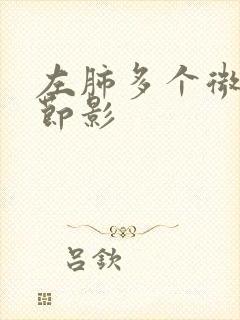 左肺多个微小结节影