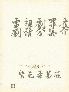 电视剧罪夜无间剧情分集介绍