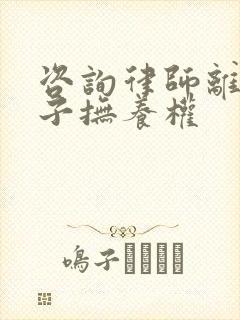 咨询律师离婚孩子抚养权