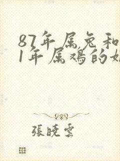 87年属兔和81年属鸡的姻缘封面