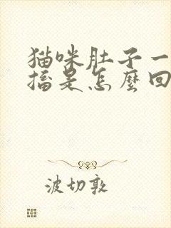 猫咪肚子一直抽搐是怎么回事