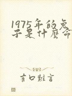 1975年的兔子是什么命,五行属性