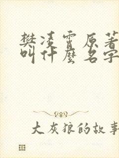 樊凌霄原著小说叫什么名字