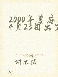 2000年农历4月23日出生的命运好吗