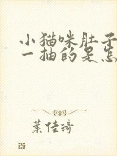 小猫咪肚子一抽一抽的是怎么回事