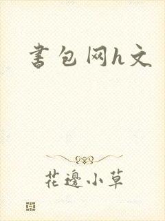 书包网h文