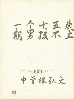 一个十五岁叛逆期男孩不上学该怎么办封面