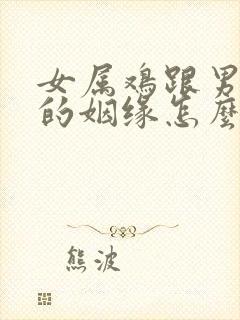 女属鸡跟男属猪的姻缘怎么样