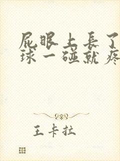 屁眼上长了个肉球一碰就疼封面