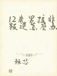 12岁男孩非常叛逆怎么办