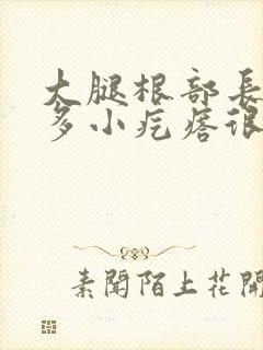 大腿根部长了很多小疙瘩很痒