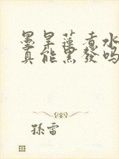 墨旱莲煮水洗头真能黑发吗