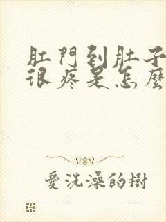 肛门到肚子突然很疼是怎么回事