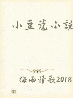 小豆蔻小说