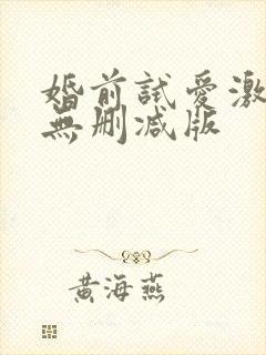 婚前试爱激情戏无删减版