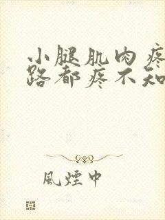 小腿肌肉疼痛走路都疼不知道是怎么回事