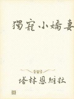 独宠小娇妻