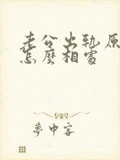 老公出轨原谅后怎么相处封面