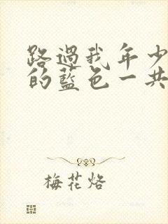 路过我年少时光的蓝色一共多少集