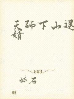 天师下山退婚神婿