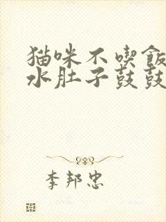 猫咪不吃饭只喝水肚子鼓鼓的