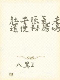 肚子胀气老放屁还便秘肠鸣