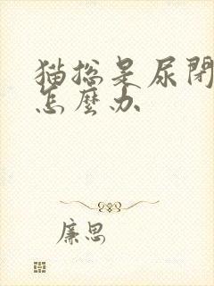 猫总是尿闭反复怎么办