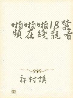 啪啪啪18禁视频在线观看封面