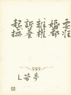 起诉离婚要孩子抚养权都准备什么