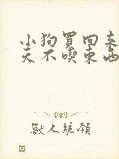 小狗买回来第二天不吃东西