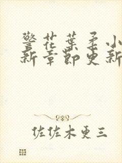 警花叶柔小说最新章节更新